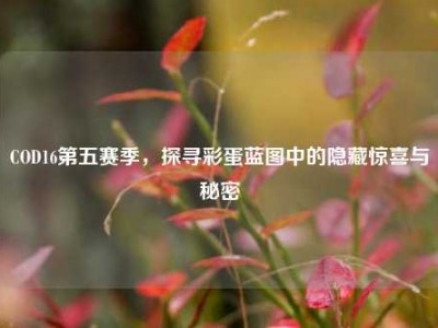 COD16第五赛季，探寻彩蛋蓝图中的隐藏惊喜与秘密