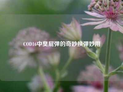 COD16中臭屁弹的奇妙换弹妙用