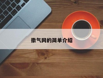 撒气网的简单介绍