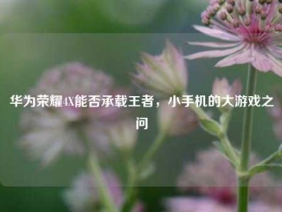 华为荣耀4X能否承载王者，小手机的大游戏之问