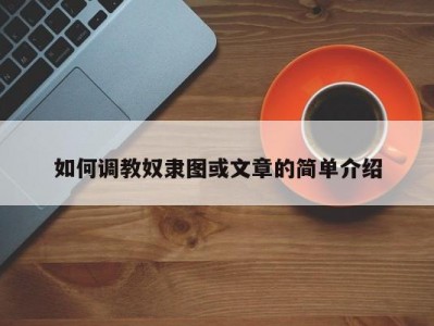 如何调教奴隶图或文章的简单介绍