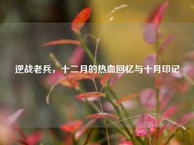 逆战老兵，十二月的热血回忆与十月印记