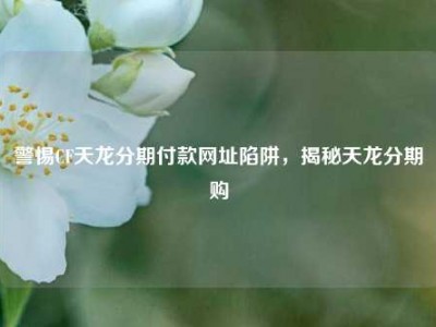 警惕CF天龙分期付款网址陷阱，揭秘天龙分期购