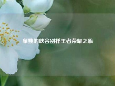 象嫂的峡谷别样王者荣耀之旅