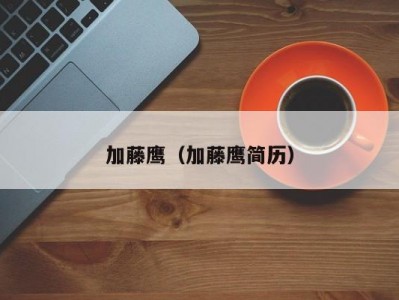 加藤鹰（加藤鹰简历）