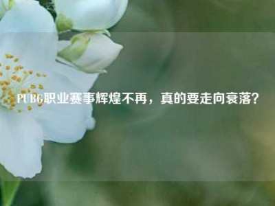 PUBG职业赛事辉煌不再，真的要走向衰落？