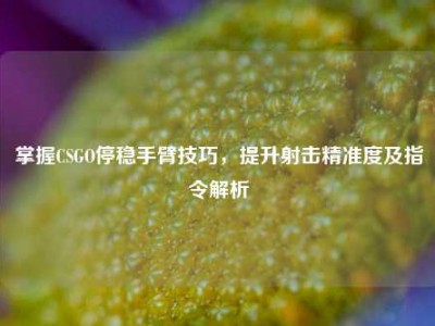 掌握CSGO停稳手臂技巧，提升射击精准度及指令解析
