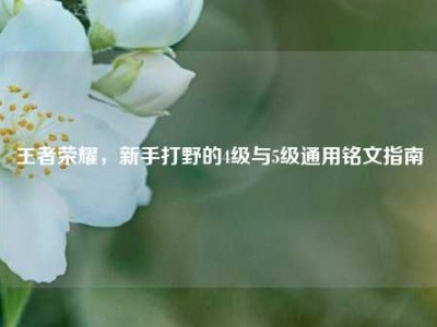 王者荣耀，新手打野的4级与5级通用铭文指南