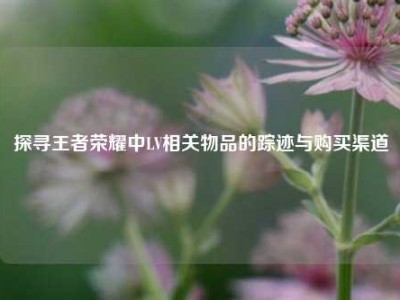 探寻王者荣耀中LV相关物品的踪迹与购买渠道