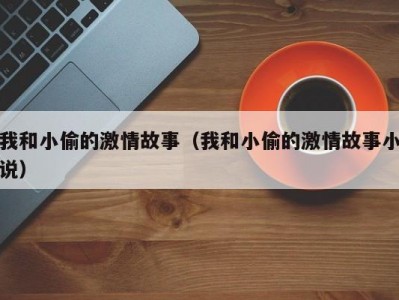 我和小偷的激情故事（我和小偷的激情故事小说）