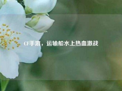 CF手游，运输船水上热血激战