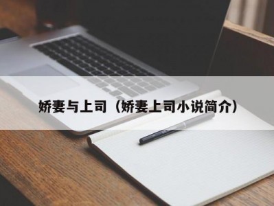 娇妻与上司（娇妻上司小说简介）