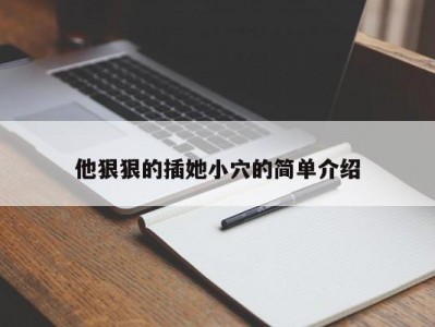 他狠狠的插她小穴的简单介绍