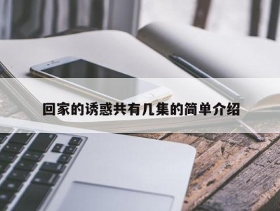 回家的诱惑共有几集的简单介绍