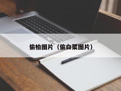 偷柏图片（偷白菜图片）