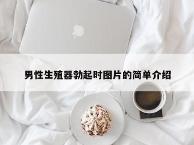 男性生殖器勃起时图片的简单介绍