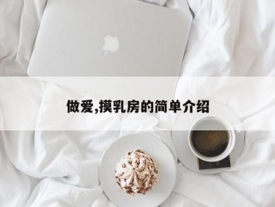 做爱,摸乳房的简单介绍