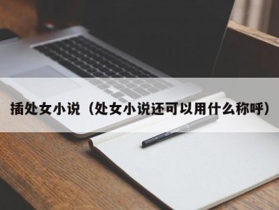 插处女小说（处女小说还可以用什么称呼）