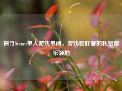 探寻Steam单人游戏单间，游戏爱好者的私密娱乐领地