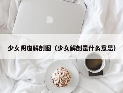 少女阴道解剖图（少女解剖是什么意思）