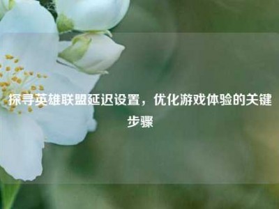 探寻英雄联盟延迟设置，优化游戏体验的关键步骤