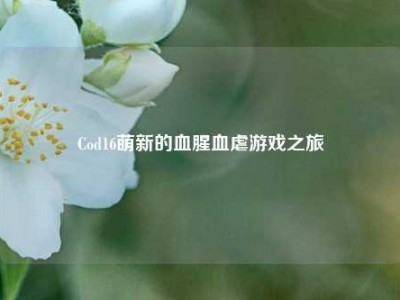 Cod16萌新的血腥血虐游戏之旅