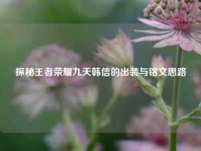 探秘王者荣耀九天韩信的出装与铭文思路