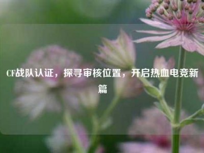 CF战队认证，探寻审核位置，开启热血电竞新篇