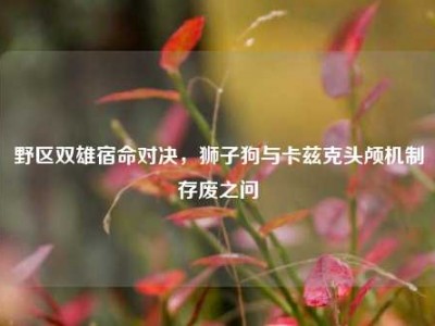 野区双雄宿命对决，狮子狗与卡兹克头颅机制存废之问