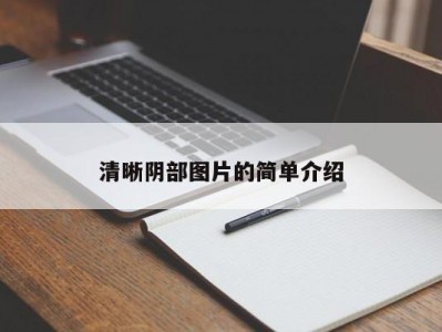 清晰阴部图片的简单介绍