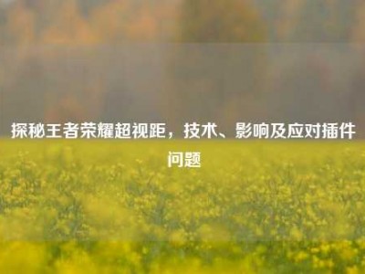 探秘王者荣耀超视距，技术、影响及应对插件问题
