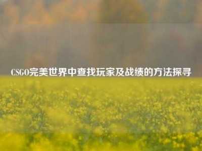 CSGO完美世界中查找玩家及战绩的     探寻