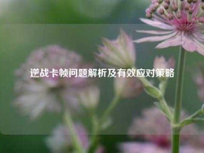 逆战卡帧问题解析及有效应对策略