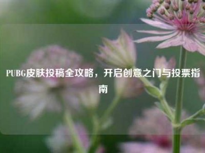 PUBG皮肤投稿全攻略，开启创意之门与投票指南