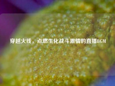 穿越火线，点燃生化战斗     的直播BGM