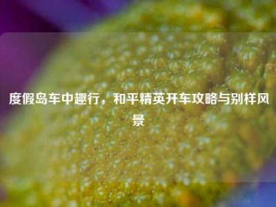 度假岛车中趣行，和平精英开车攻略与别样风景