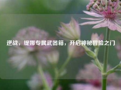 逆战，缇娜专属武器箱，开启神秘冒险之门