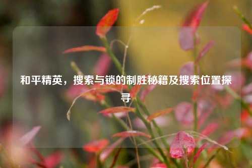 和平精英，搜索与锁的制胜秘籍及搜索位置探寻