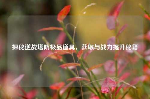 探秘逆战塔防极品道具，获取与战力提升秘籍