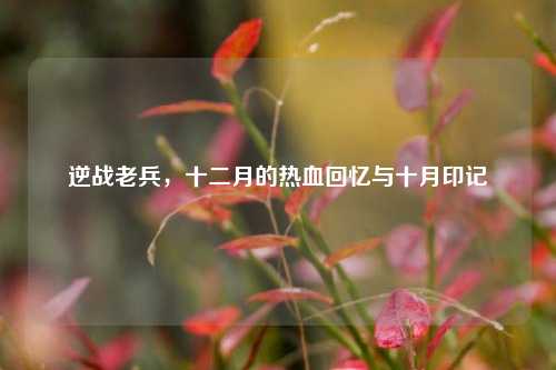 逆战老兵，十二月的热血回忆与十月印记