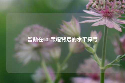 智勋在LOL荣耀背后的水平探寻