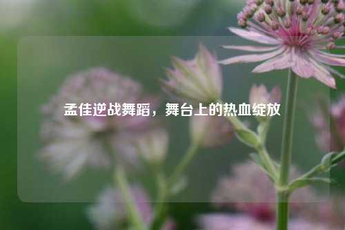 孟佳逆战舞蹈，舞台上的热血绽放