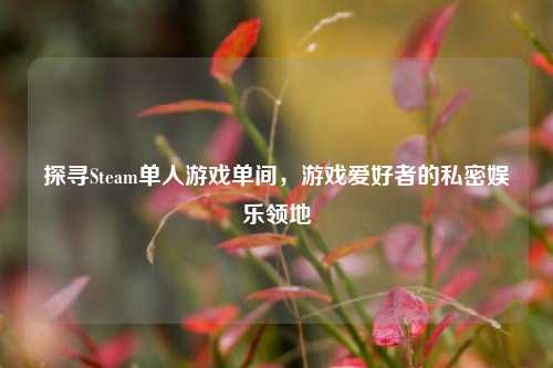 探寻Steam单人游戏单间，游戏爱好者的私密娱乐领地