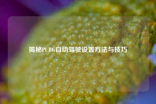 揭秘PUBG自动驾驶设置方法与技巧