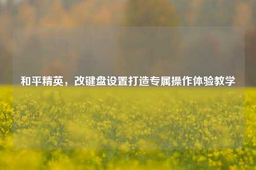 和平精英，改键盘设置打造专属操作体验教学
