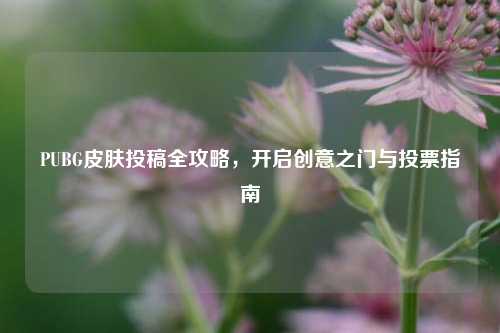 PUBG皮肤投稿全攻略，开启创意之门与投票指南