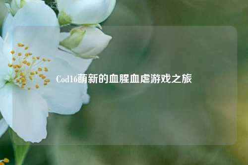 Cod16萌新的血腥血虐游戏之旅