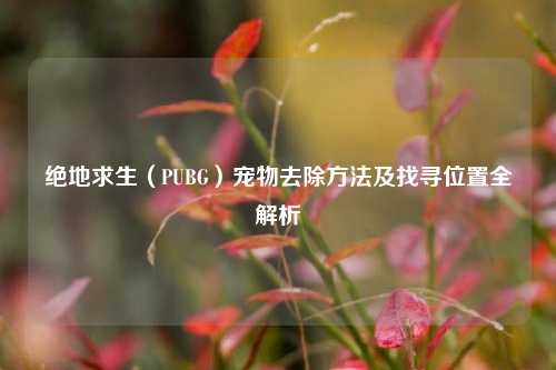 绝地求生（PUBG）宠物去除方法及找寻位置全解析